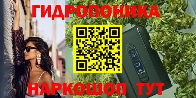 ПСИЛОЦИБИНОВЫЕ ГРИБЫ Гай