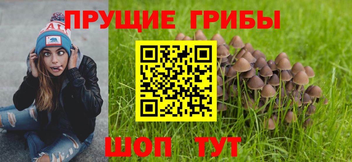 Галлюциногенные грибы MAGIC MUSHROOMS  Псилоцибиновые грибы ЛСД  где купить   Вход с VPN  Грязи 
